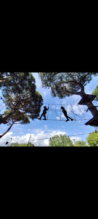 Apua Adventure Park, eventi Apua Adventure Park , Via del Fescione, 54100 Massa MS