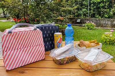 Take-Away kit with Cool bags and ice plates 